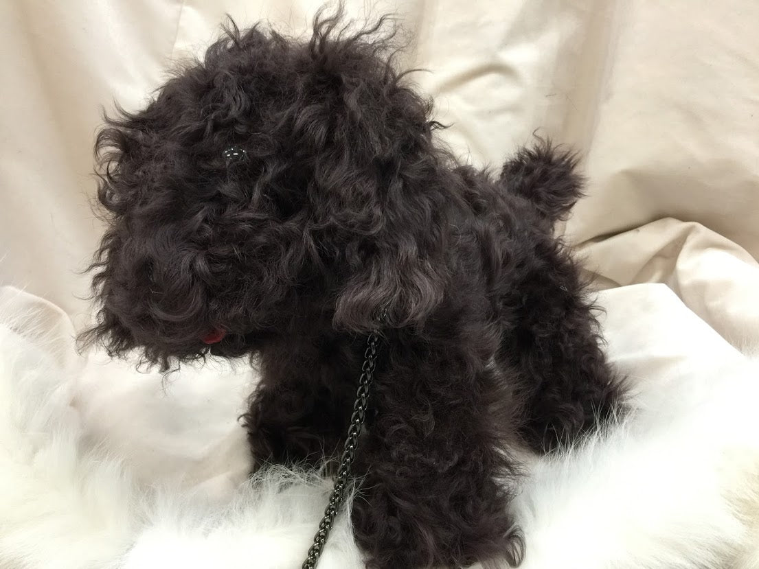 Poodle Purses made of Lamb Fur – Morris Kaye Furs